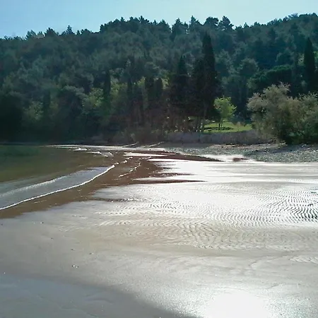 Stunning In * Postira